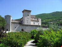 Rocca Flea